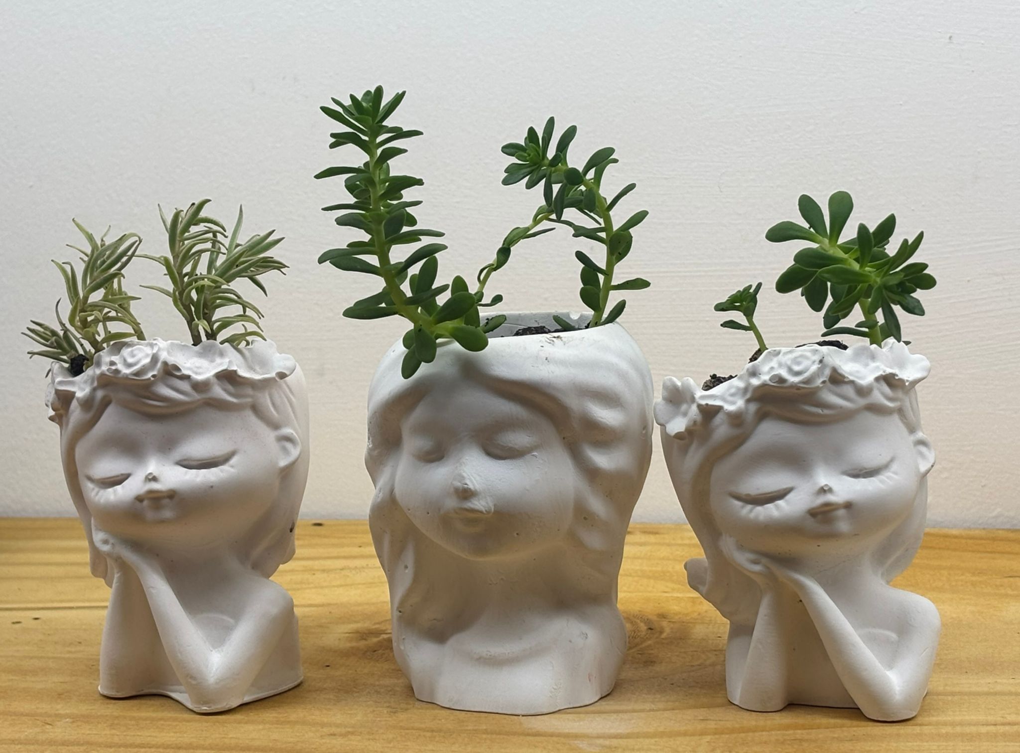 KIT SOÑADORAS X 3 CON PLANTAS